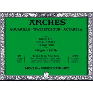 Arches Watercolor 300 gsm COLD PRESSED Blocks glued 4 sides 20 SHEETS 100% cotton paper